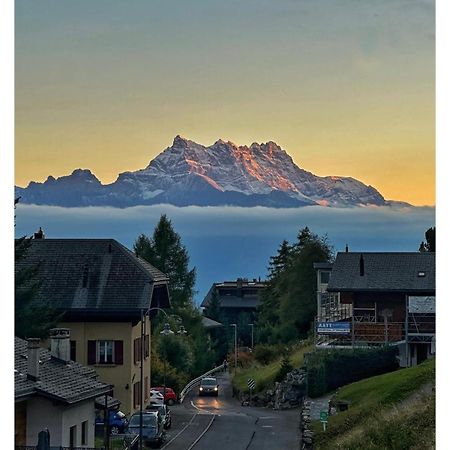 Chalet 4 Personnes Avec Sauna Leysin Bagian luar foto