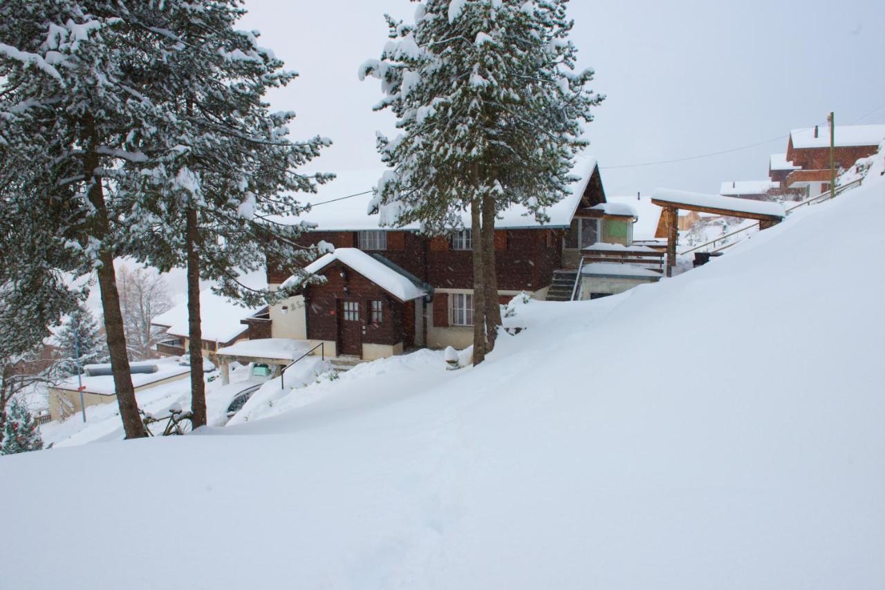 Chalet 4 Personnes Avec Sauna Leysin Bagian luar foto