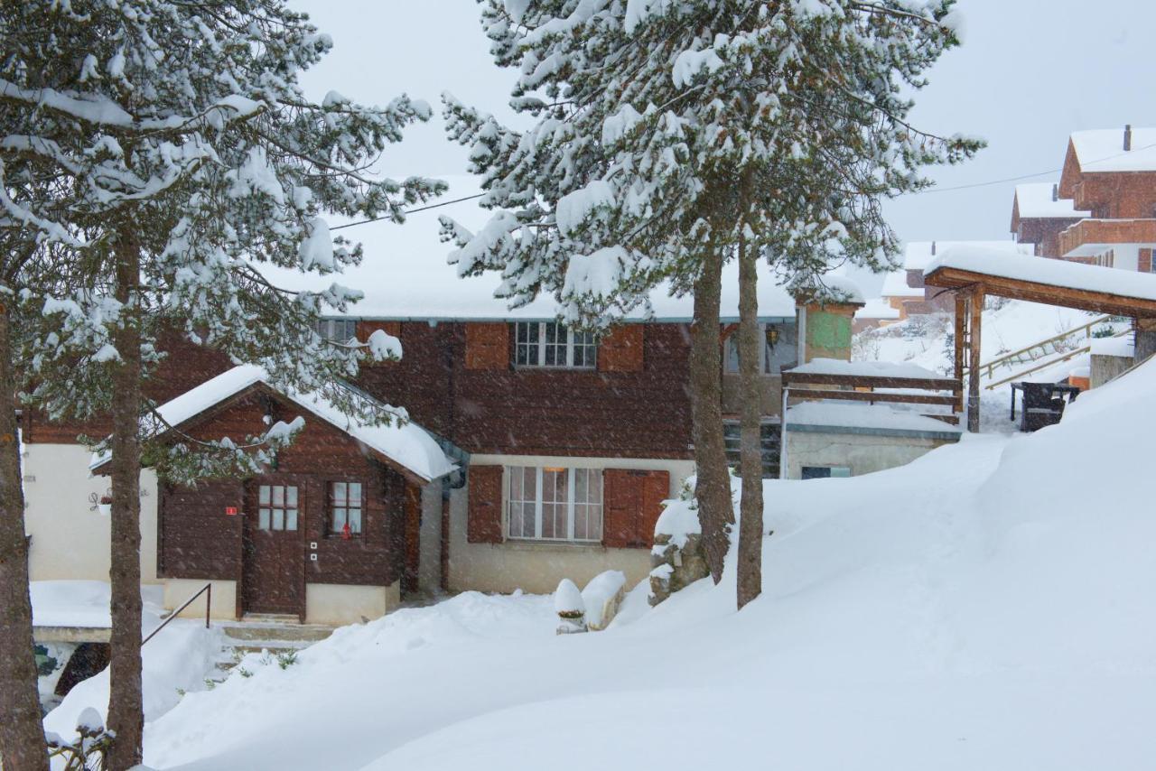 Chalet 4 Personnes Avec Sauna Leysin Bagian luar foto